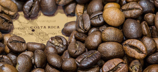 A Complete Guide to Costa Rican Coffee: Taste, Types, and Growing Conditions - Forever Brew 