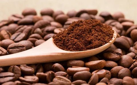 Good Coffee Blends You Can Buy Online and How to Store Them for Optimal Flavor - Forever Brew 