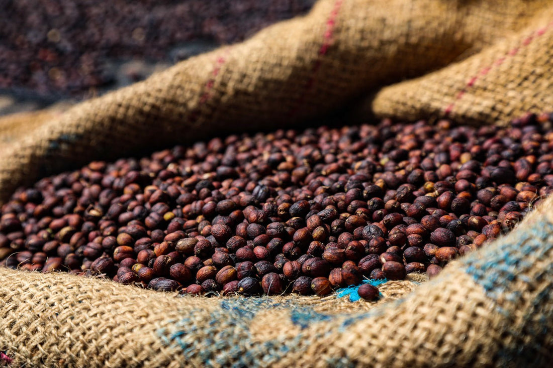 Why Single Origin Ethiopian Coffee Is Considered Some of the Best in the World - Forever Brew 