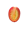 SINGLE ORIGIN