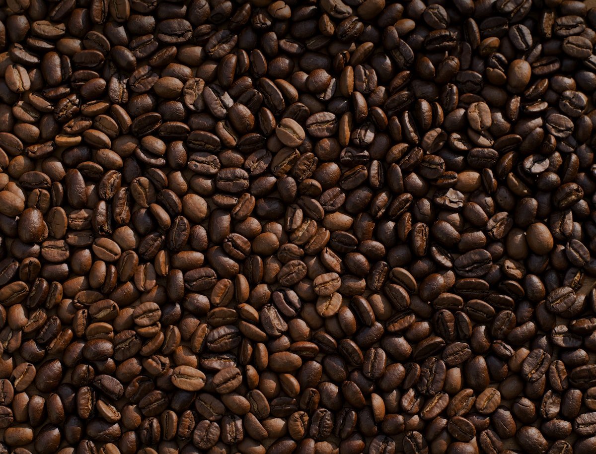 Fresh roasted Breakfast Blend coffee by Forever Brew